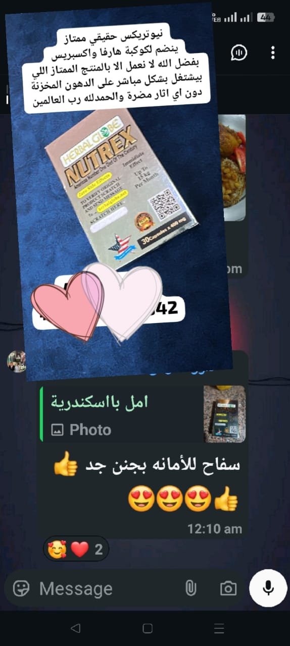 WhatsApp Image 2025-12-02 at 4.25.44 PM